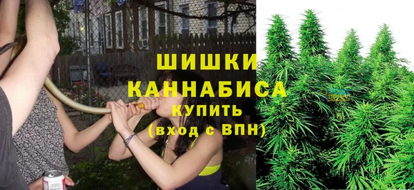 соль ск Михайловск
